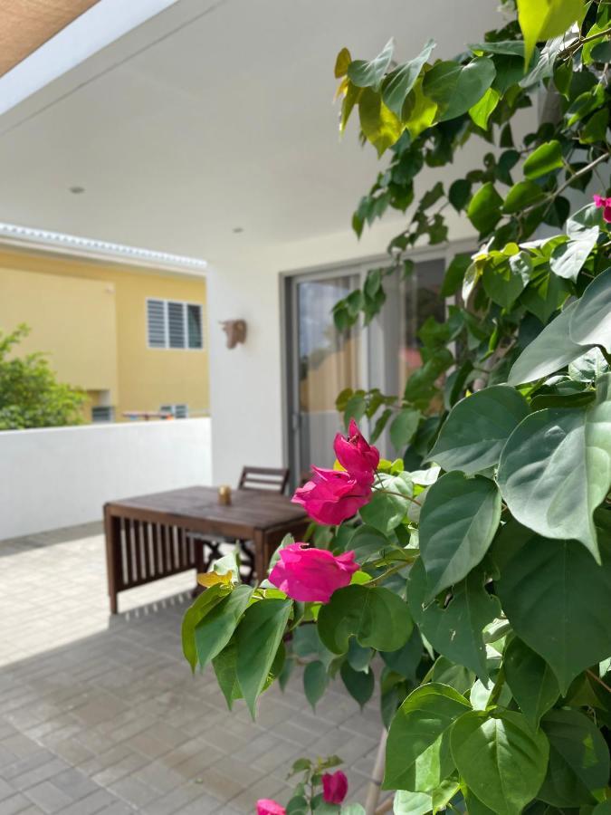 Nobilia Apartment วิลเลมสตัด ภายนอก รูปภาพ